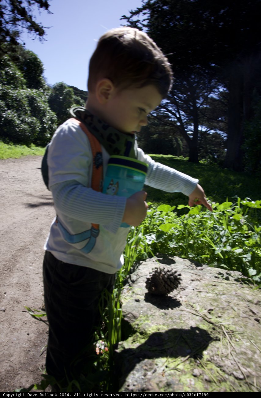 Young Explorer in Golden Gate Park