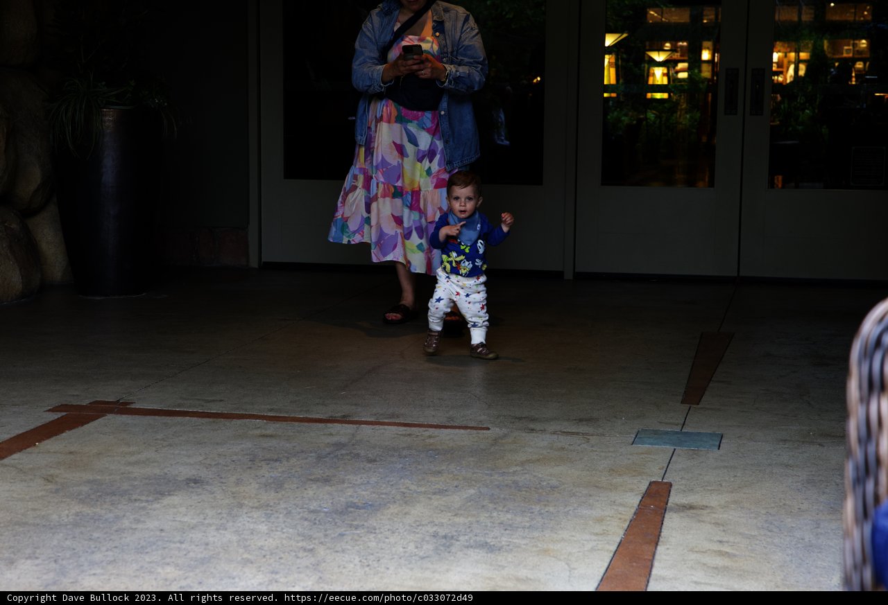 Magical Moments at Disneyland