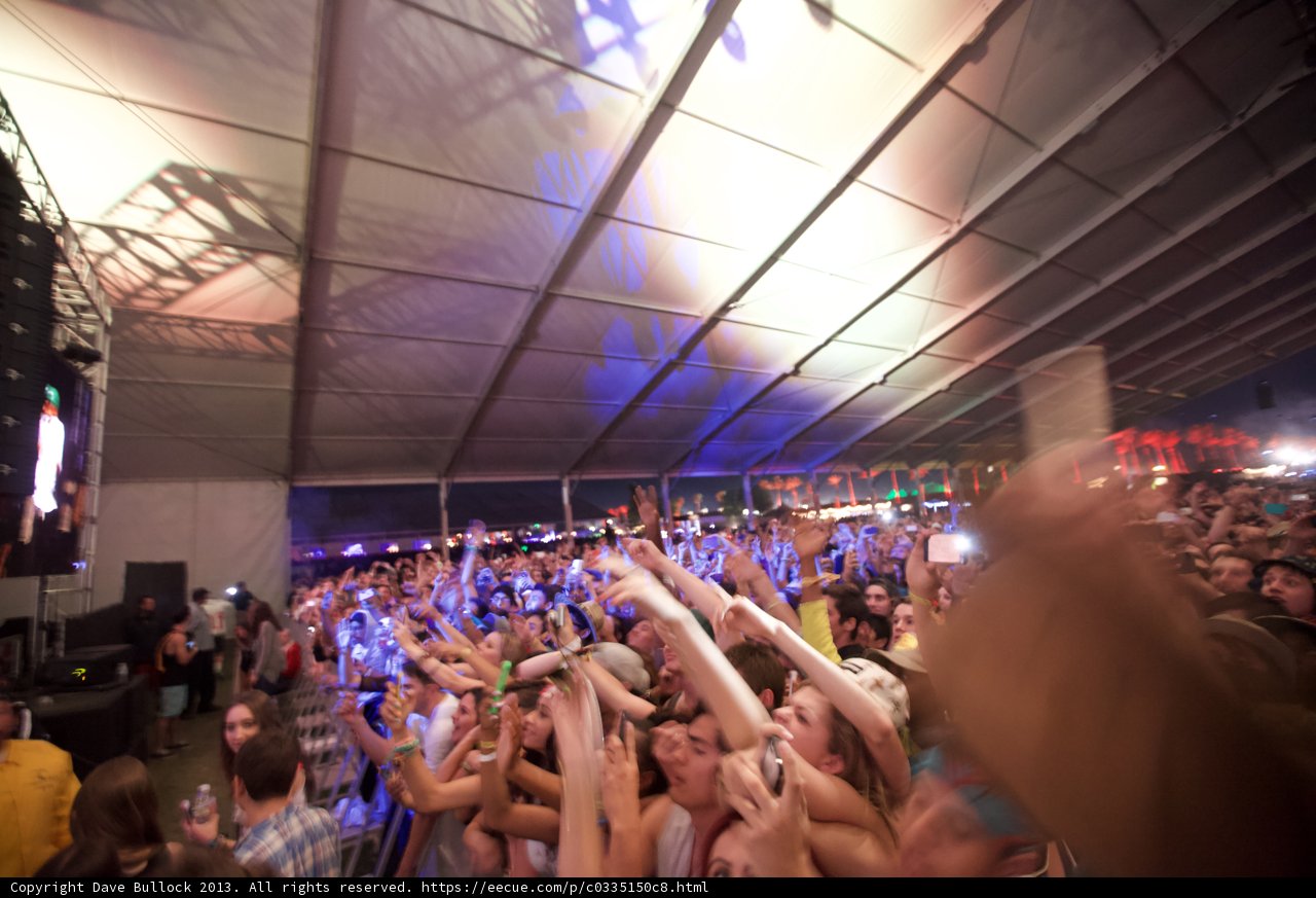 Electrifying Crowd at Coachella