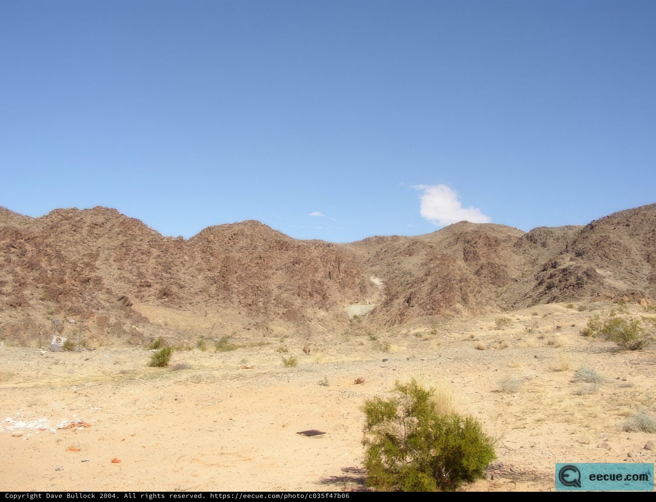 Desert Oasis