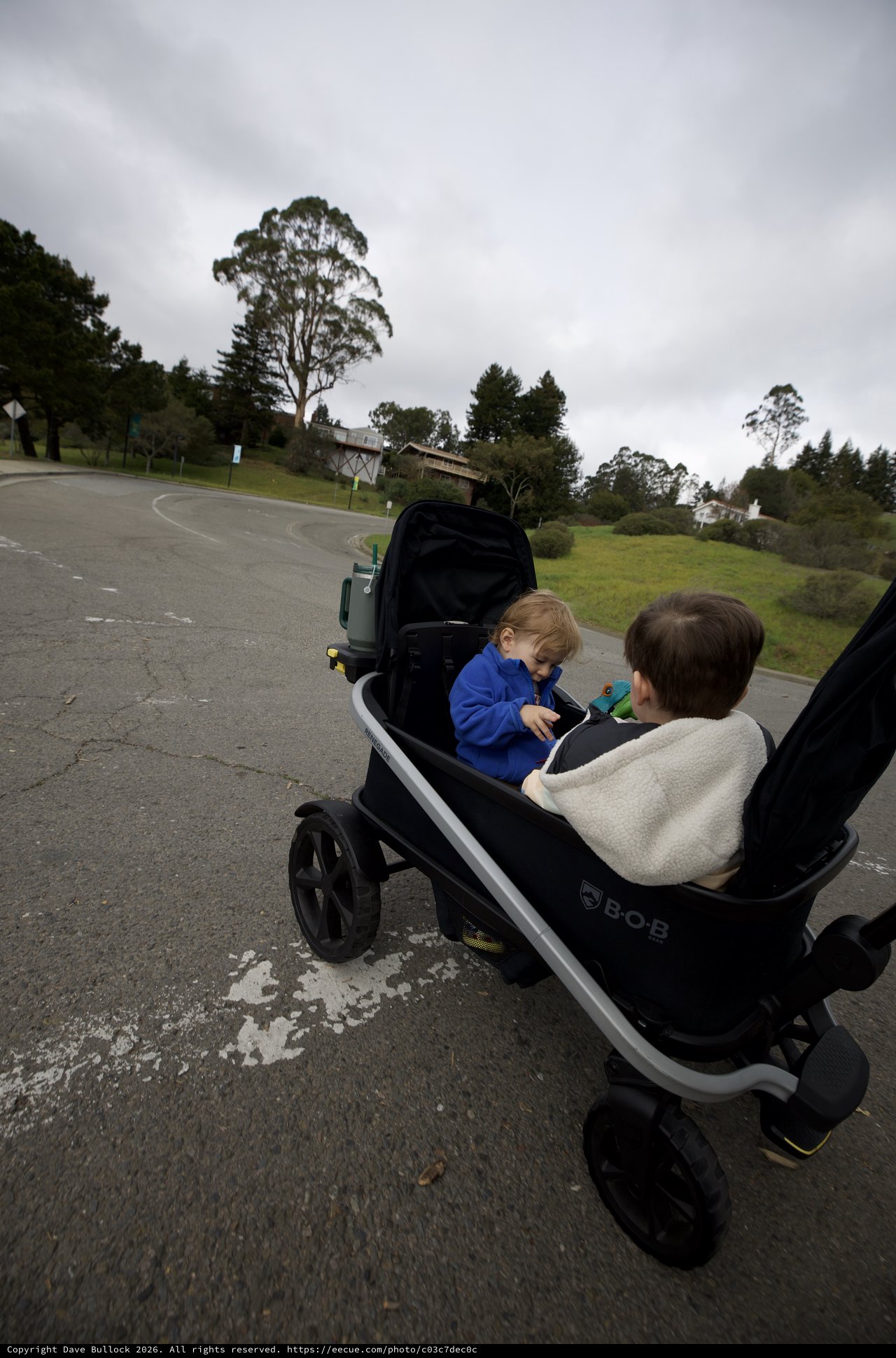 Family Walk on a Cloudy Day with Double Stroller