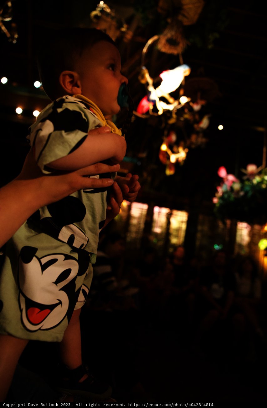 Magical Mickey Moment at Disneyland