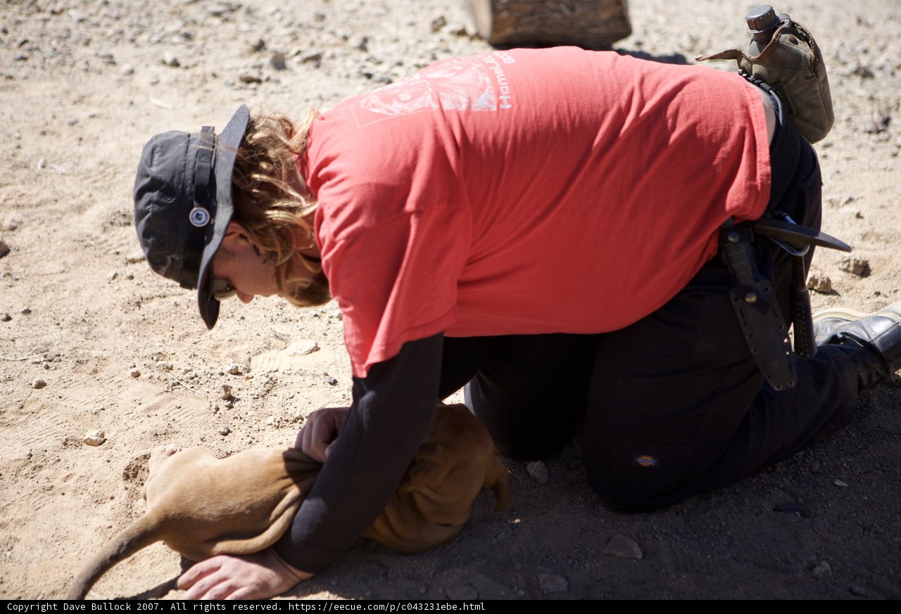Dog Lover's Moment