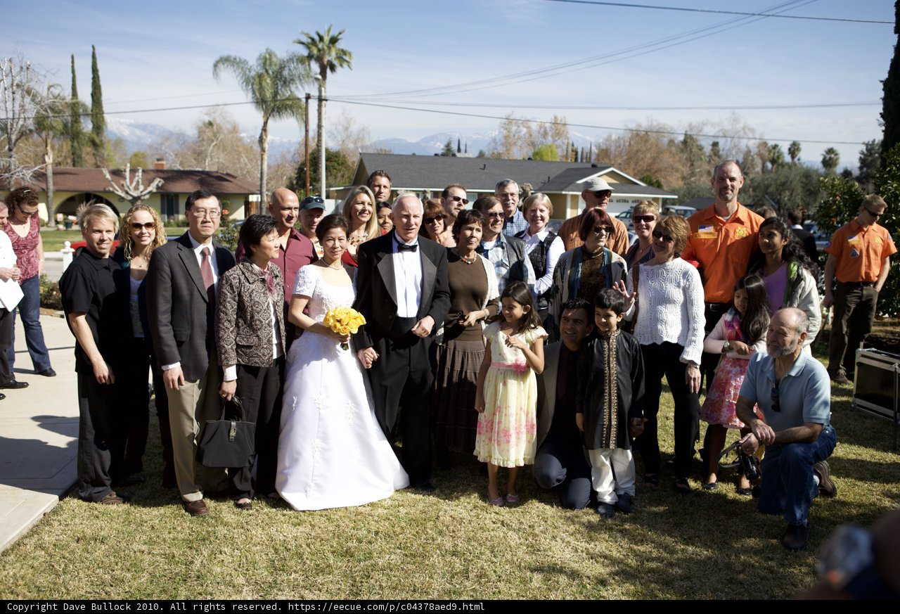 Wedding Party