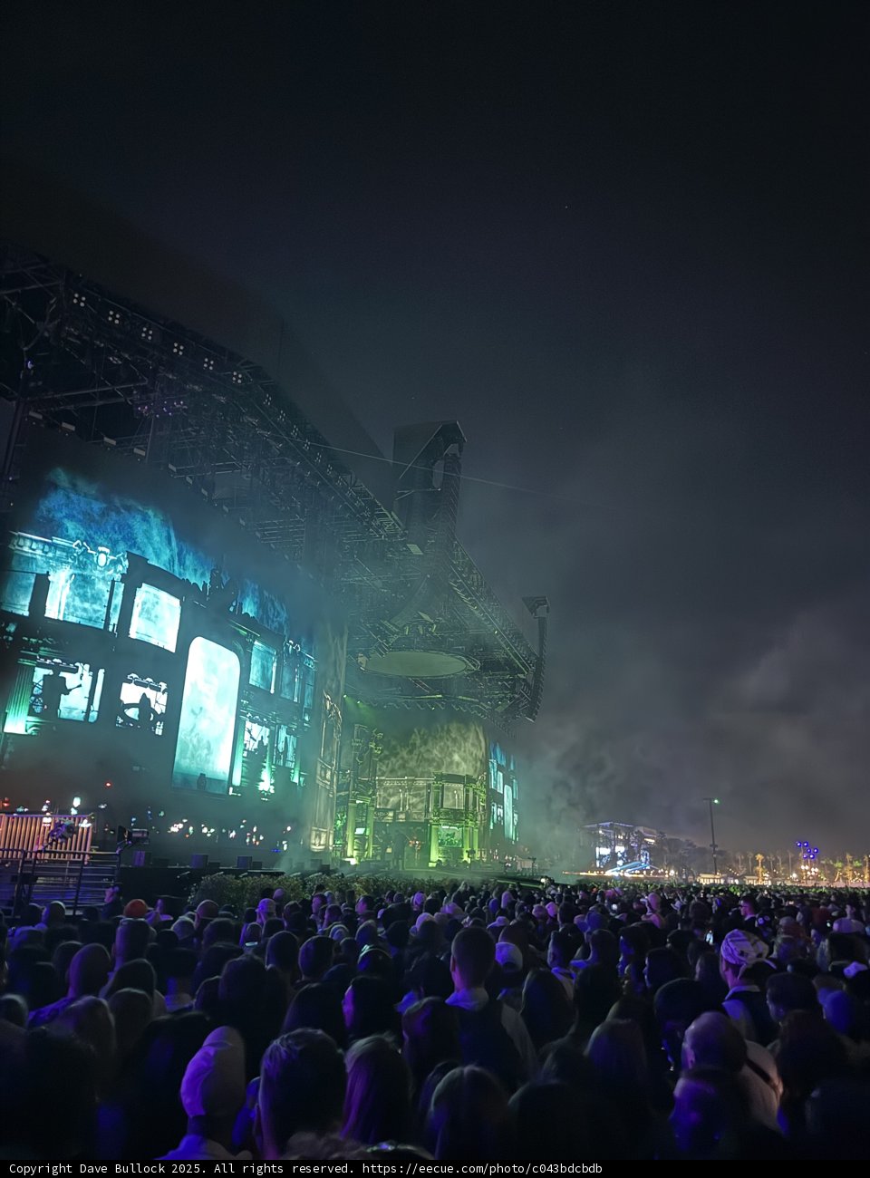 Electric Vibes Under the Desert Sky