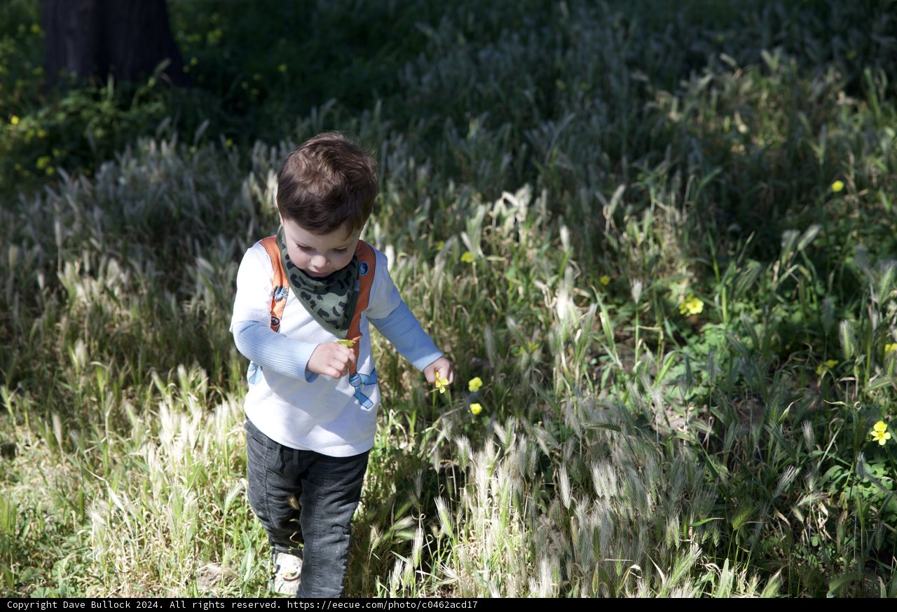 Journey into the Wild
