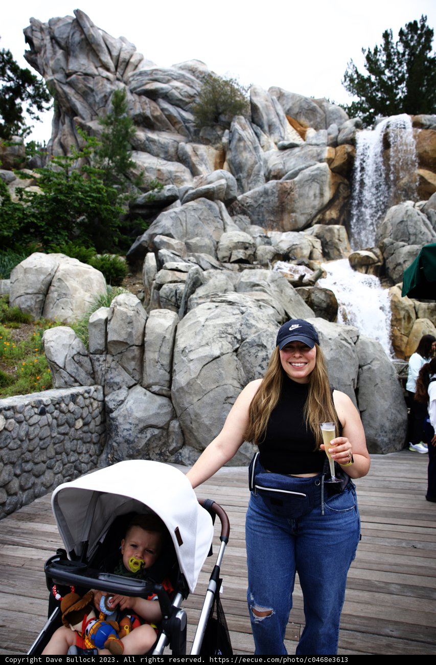 Magical Stroll Through Disneyland