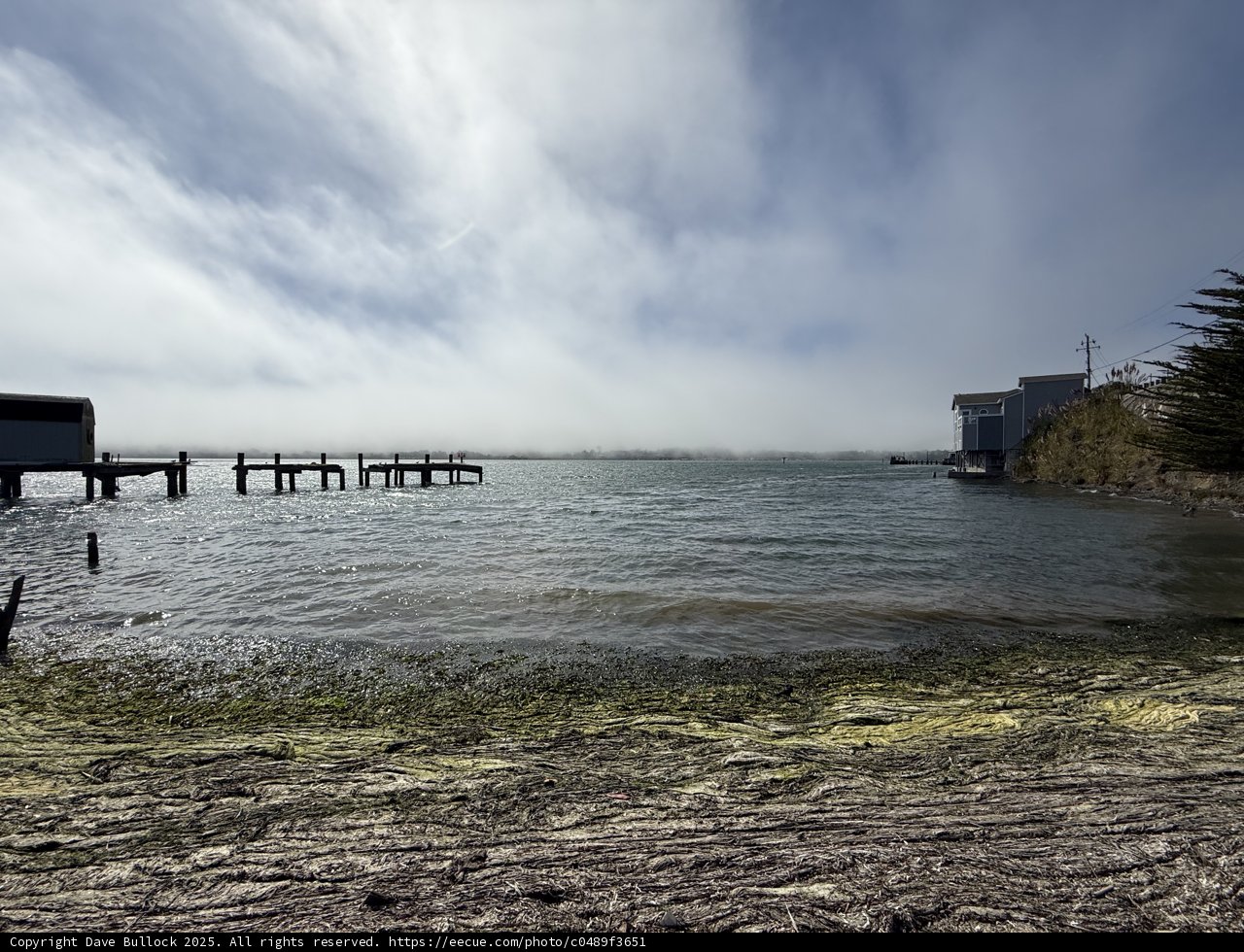 Tranquil Waters of Bodega Bay