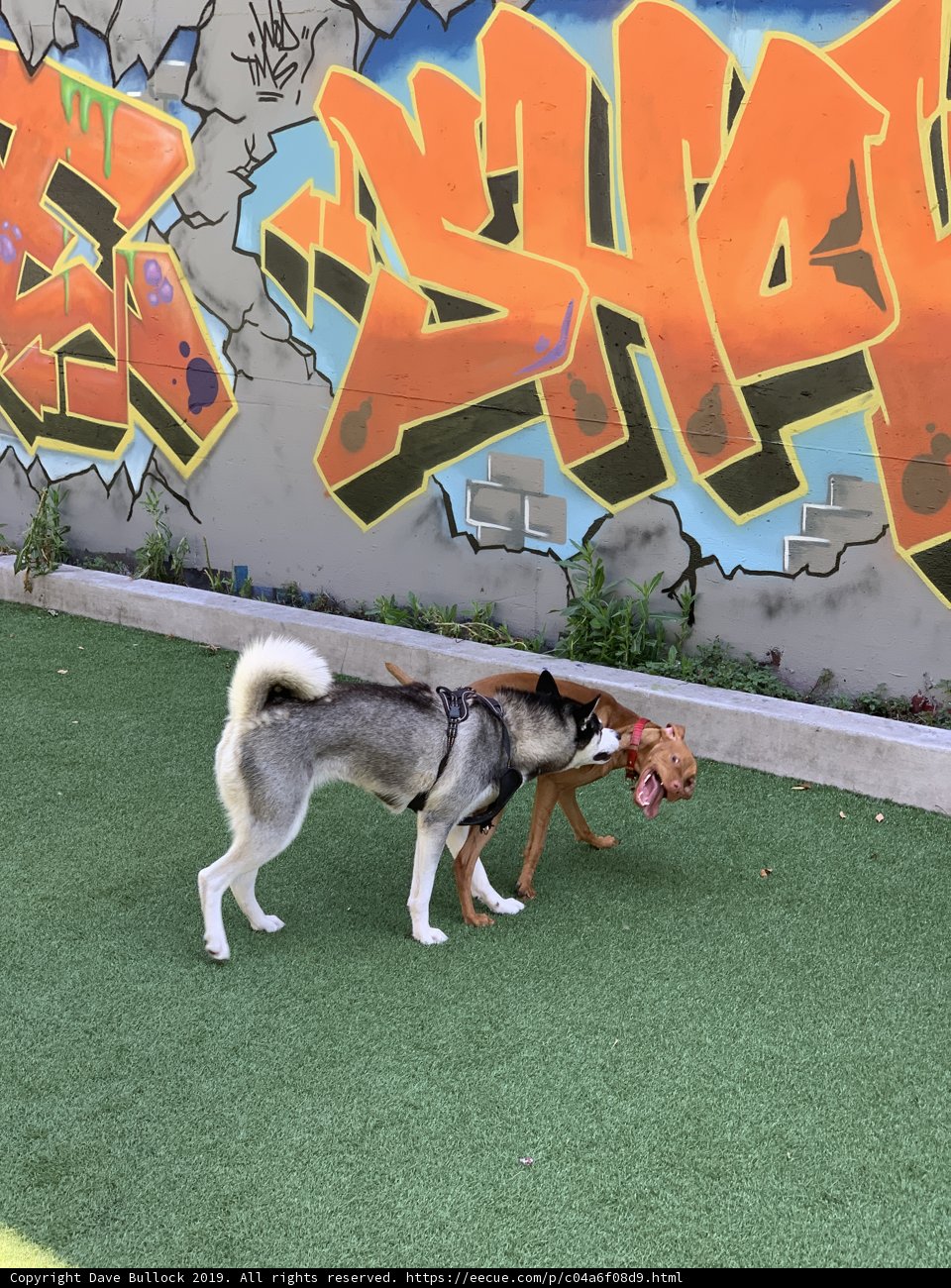 Graffiti Playtime
