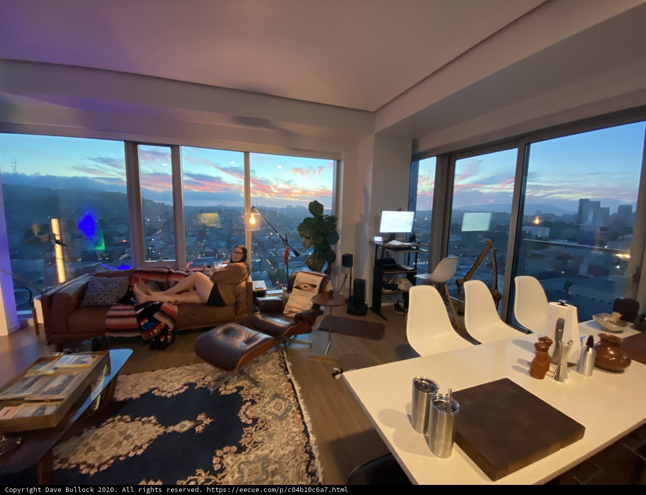 Penthouse Living Room with a City View