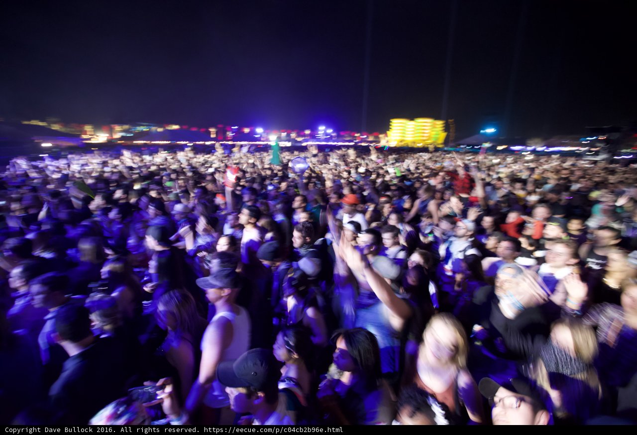 Coachella Concert Crowd