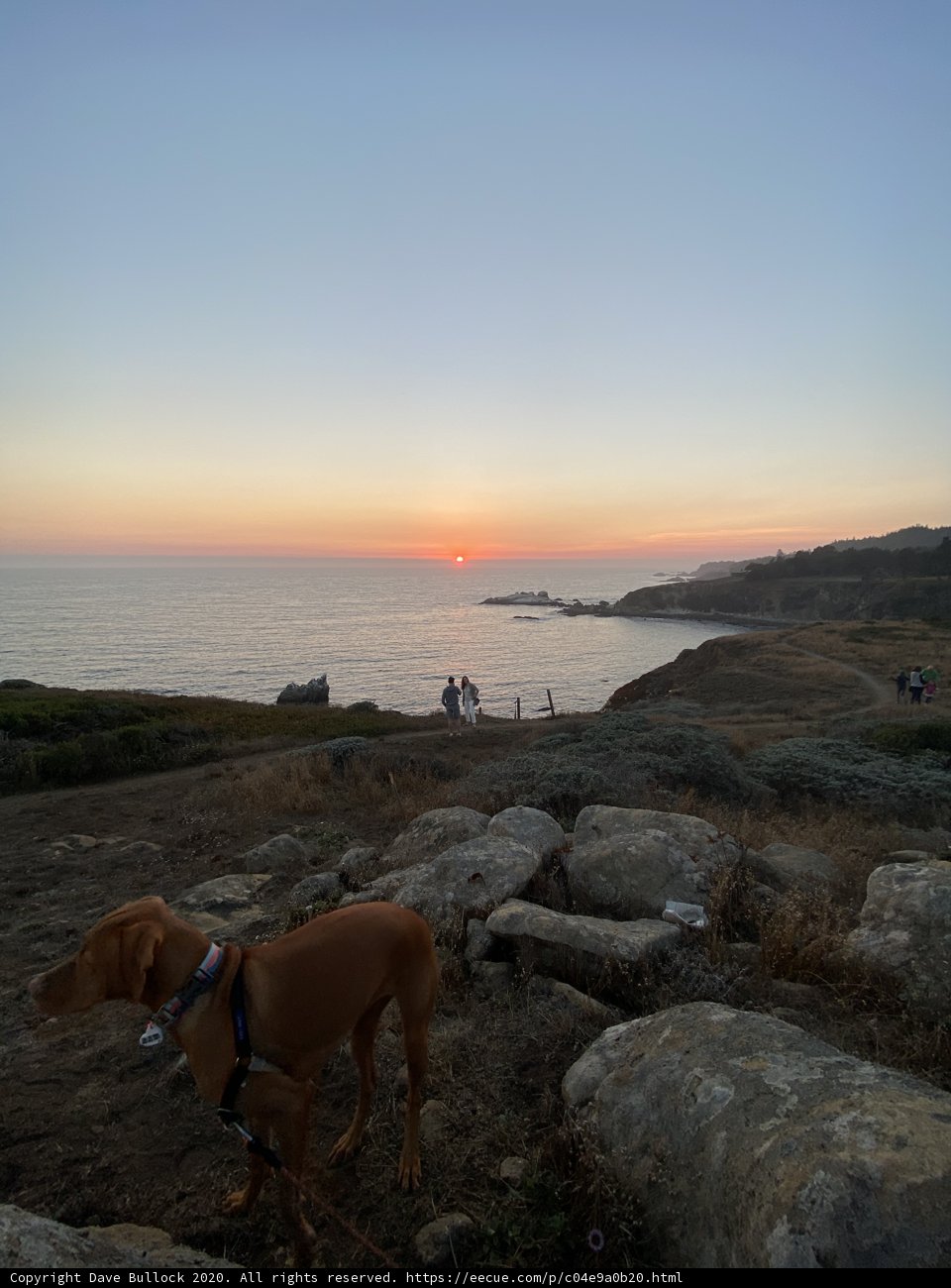 Rocky View