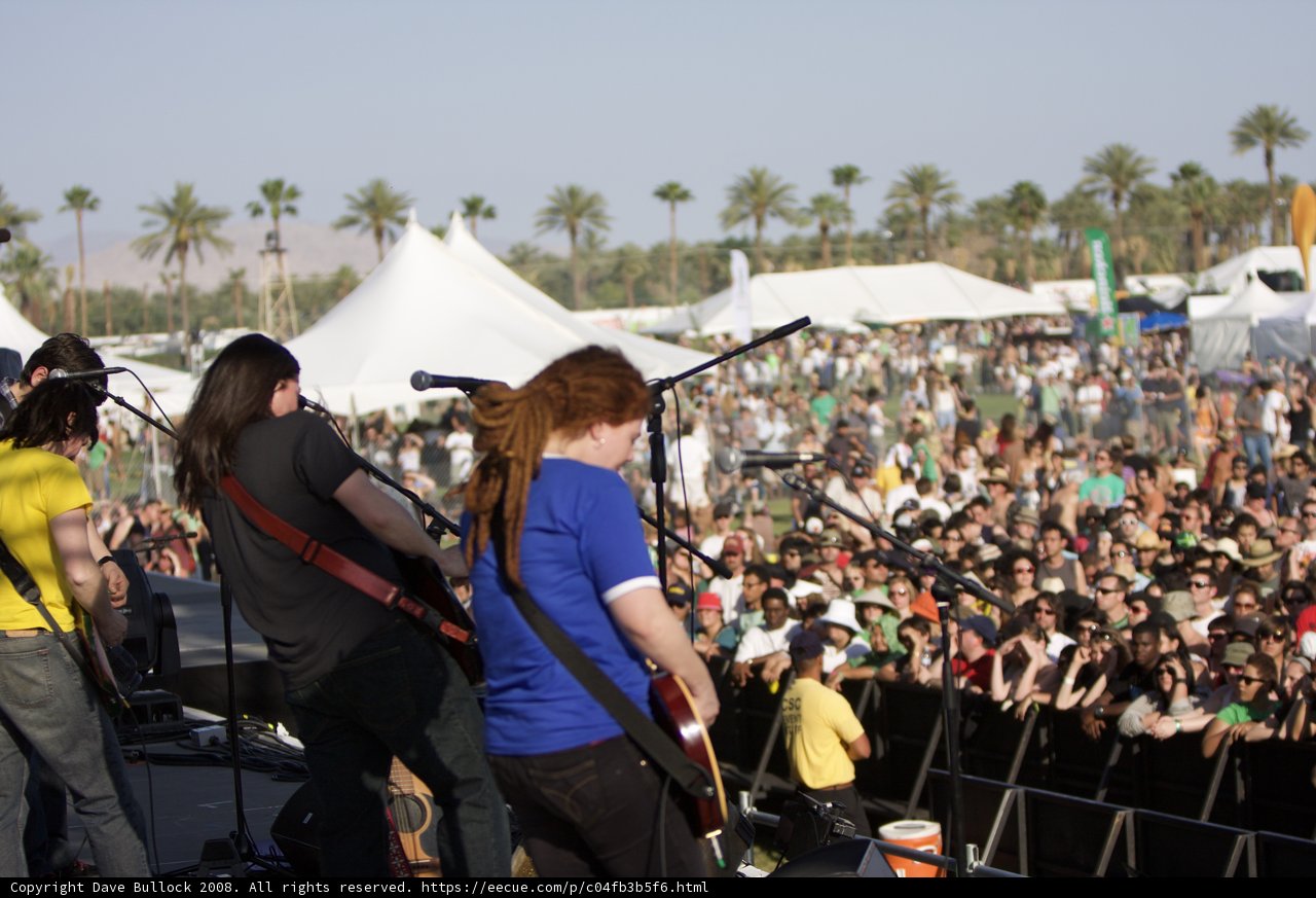 Rockin' Out Under the Palm Trees