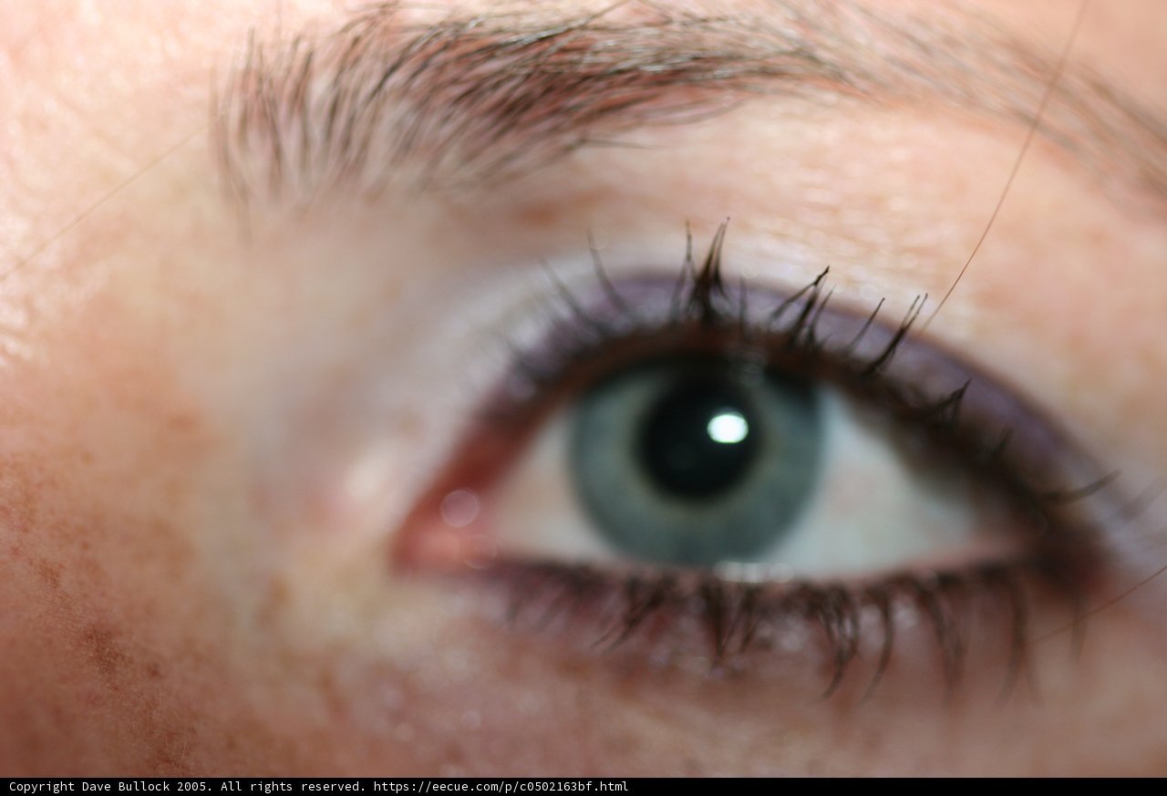Blue Liner Close-Up