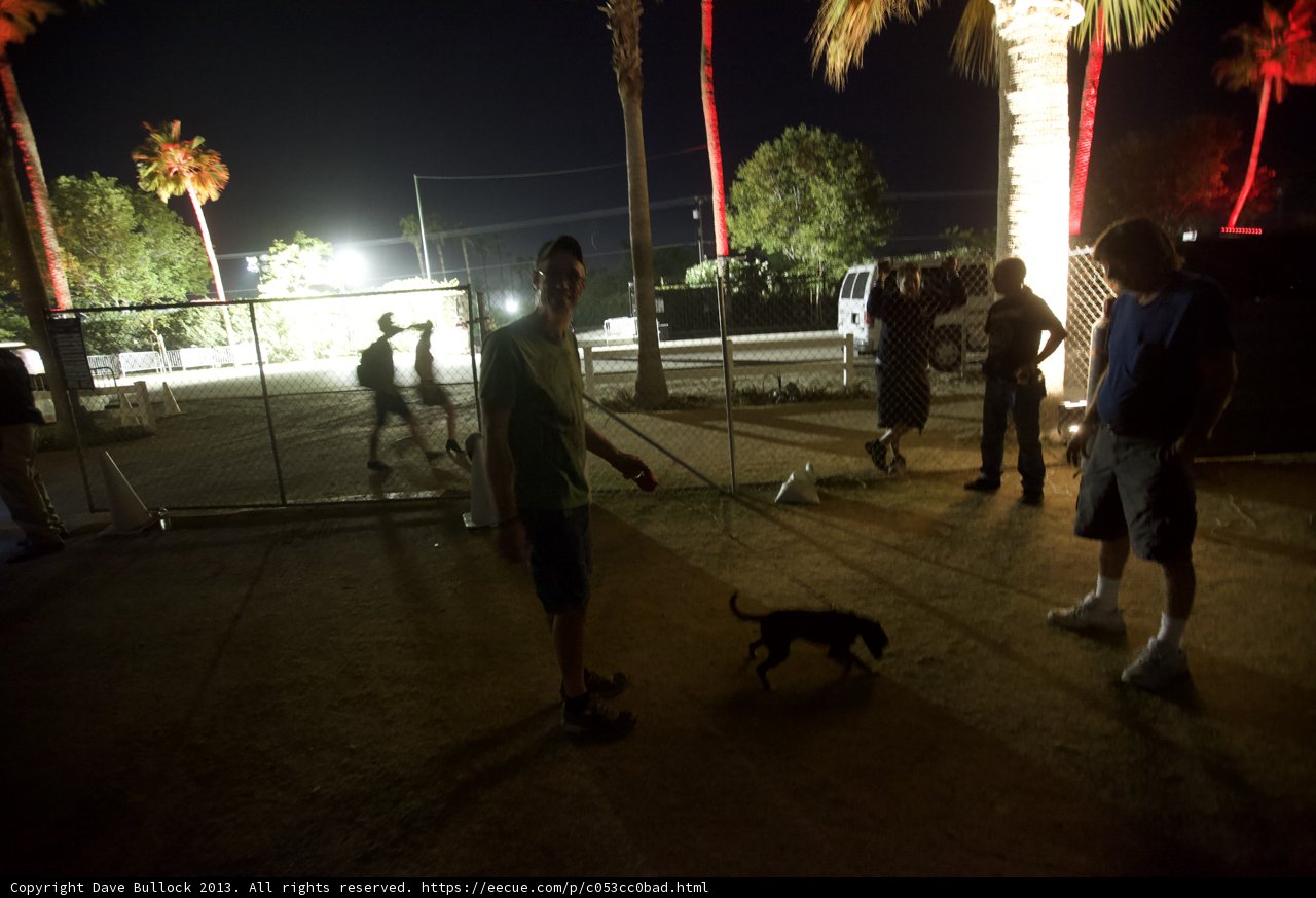A Nighttime Pooch-Friendly Get-Together