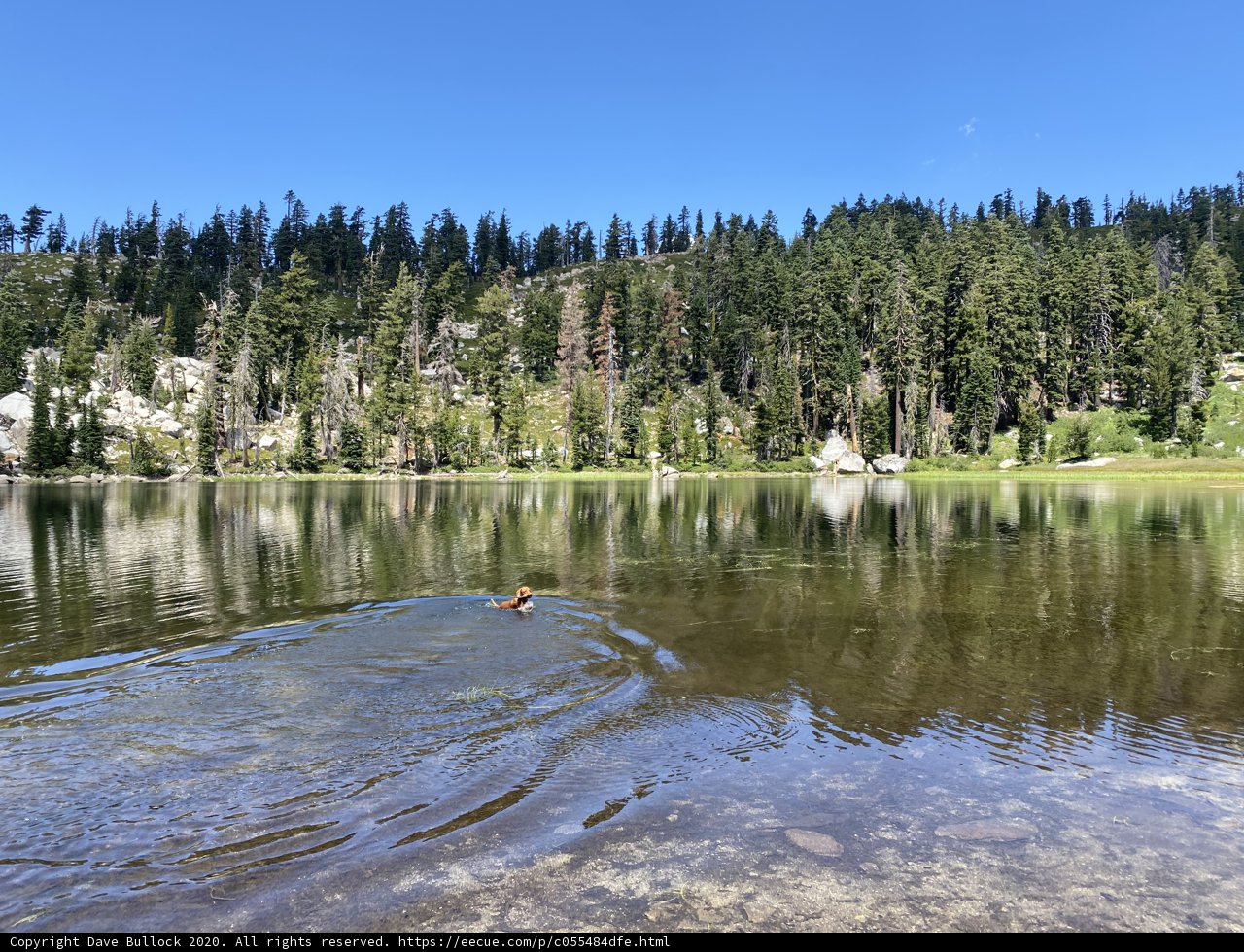 Serenity at Forni Lake
