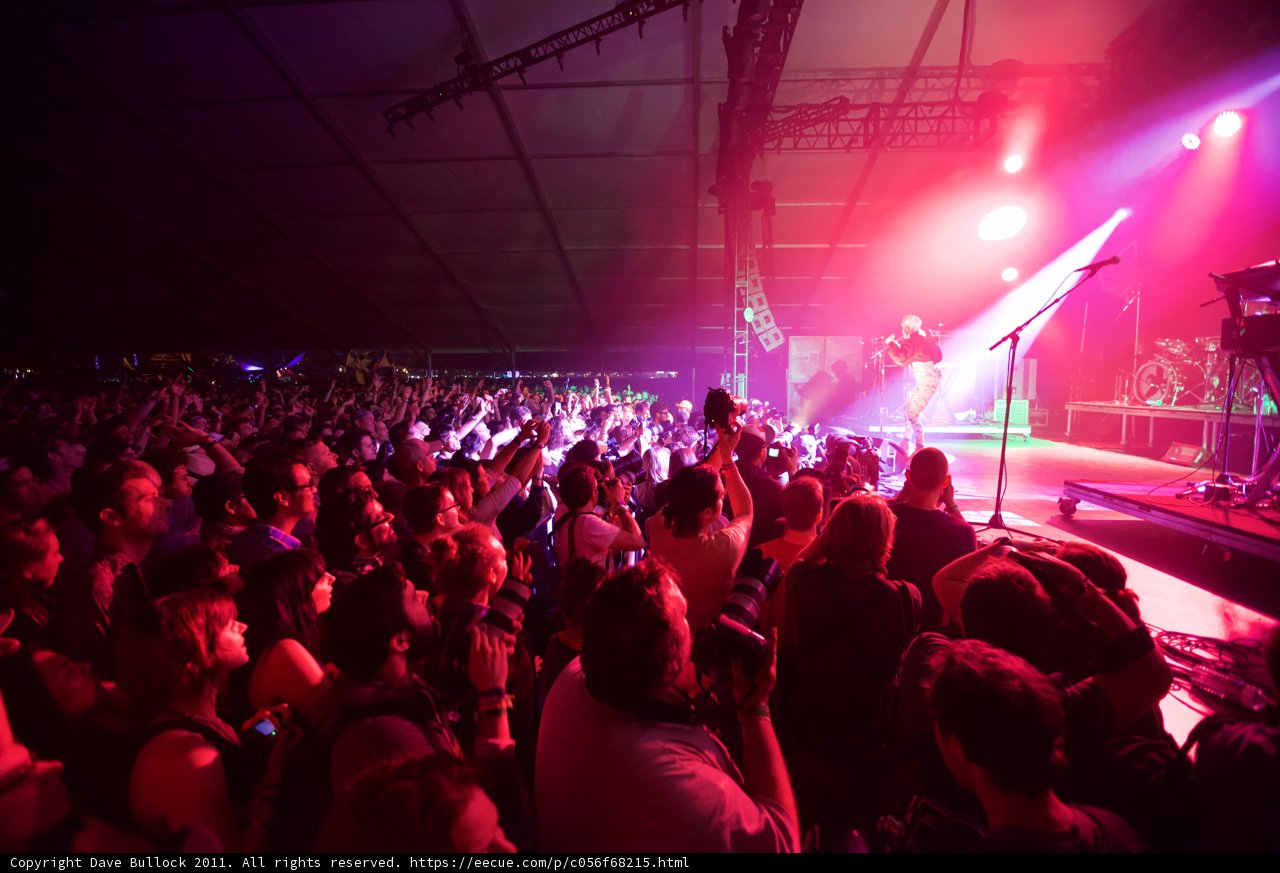 Electric Nights at Coachella