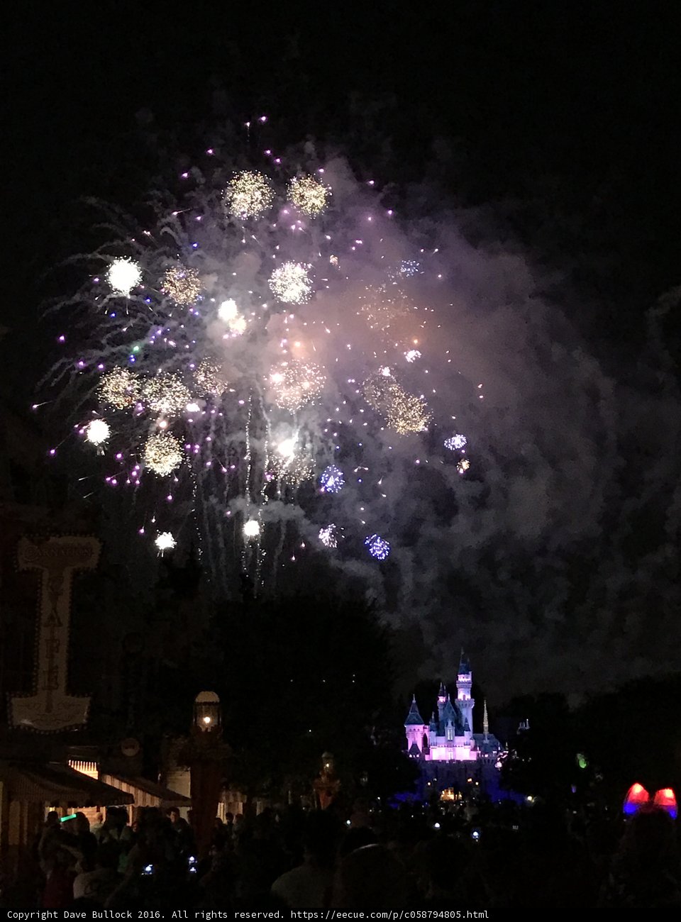 Awed by the Disneyland Fireworks