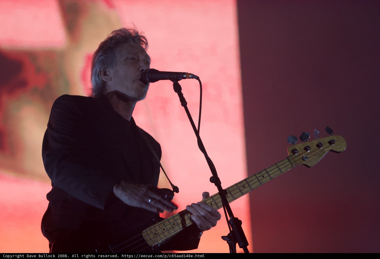 Bassist on Stage