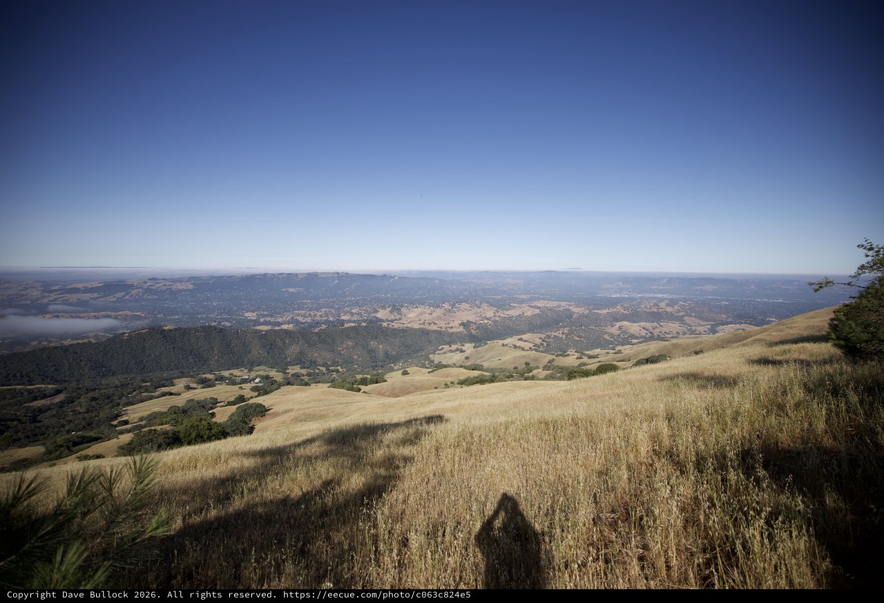 Golden Hillside Vista from Mount Diablo Summit