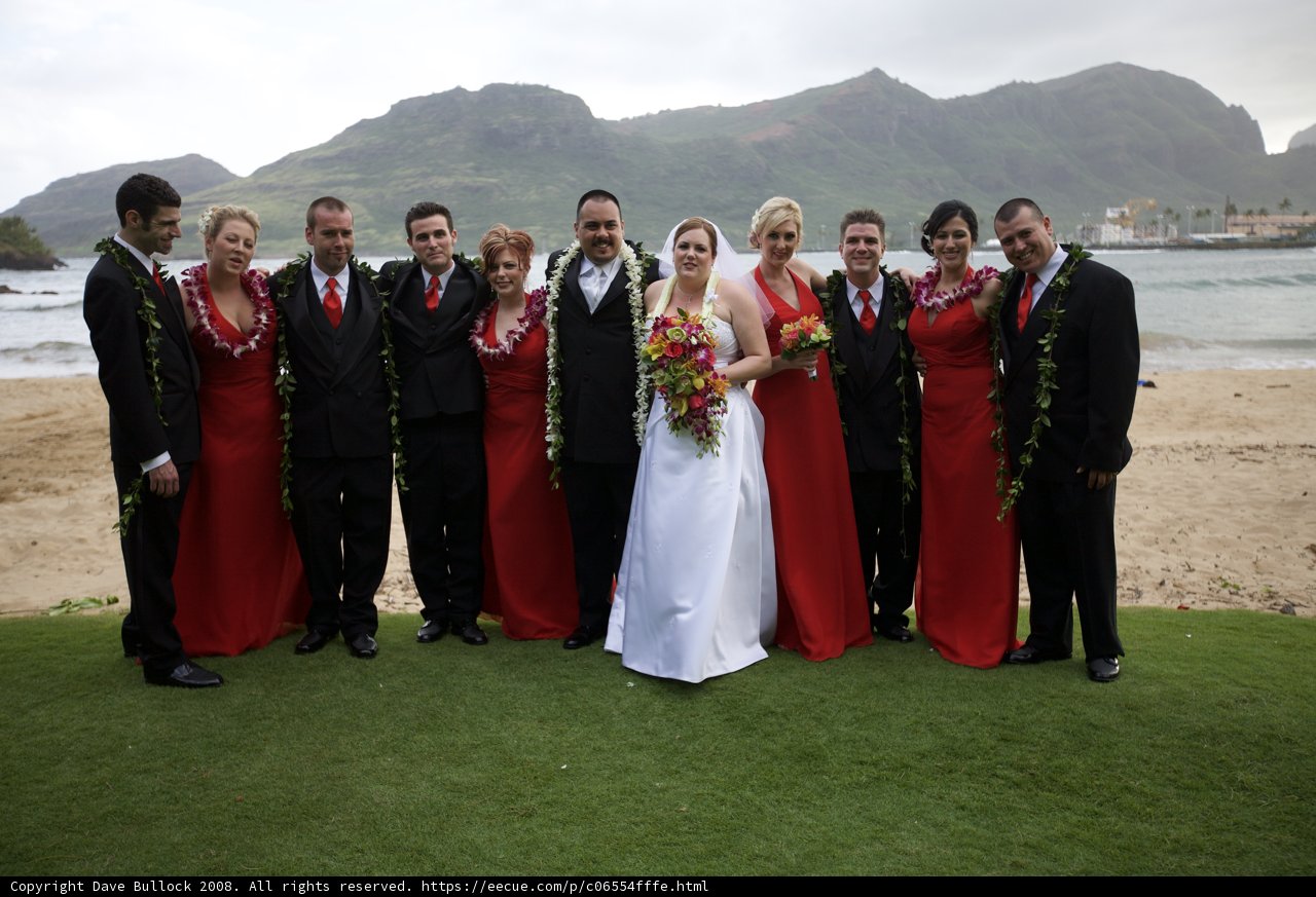Wedding Group Pose in Scenic Hawaii