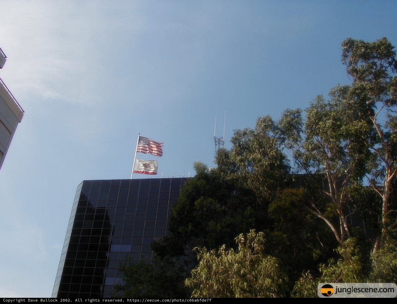 The Flag-Flying Office Building