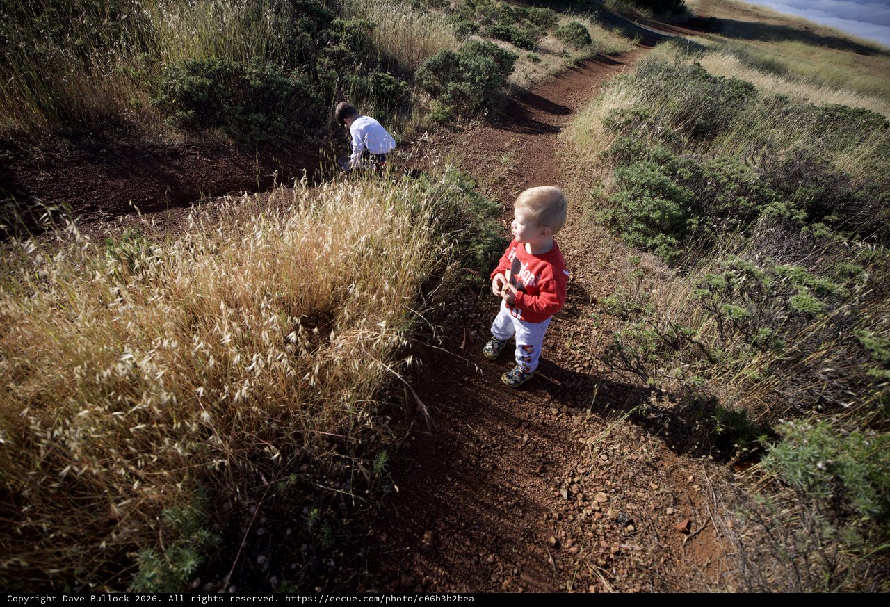 Young Explorers on Mount Diablo's Juniper Canyon Trail