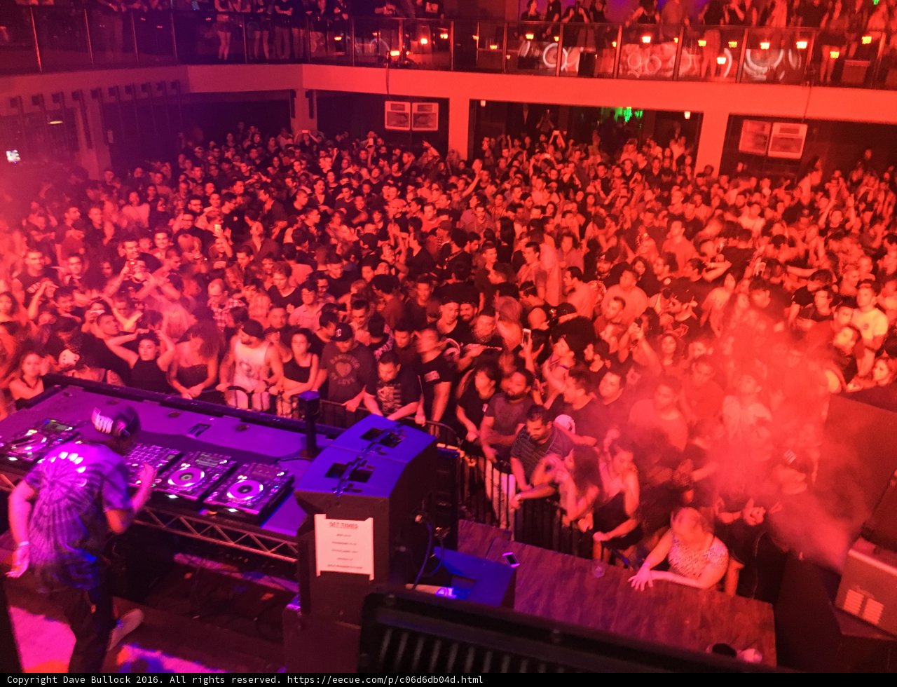 Night Club Crowd Goes Wild