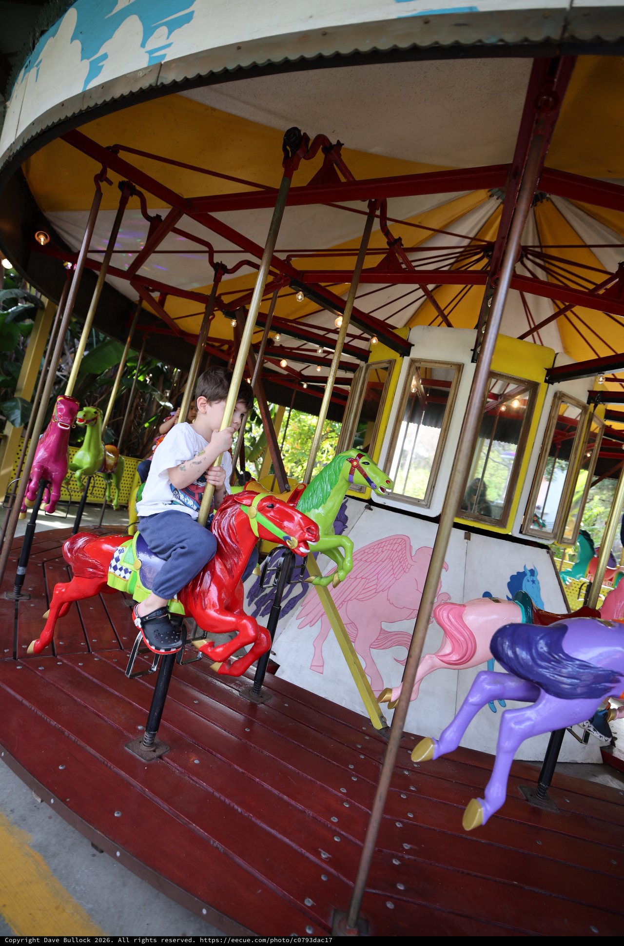 Child Riding Colorful Carousel at Fantasyland