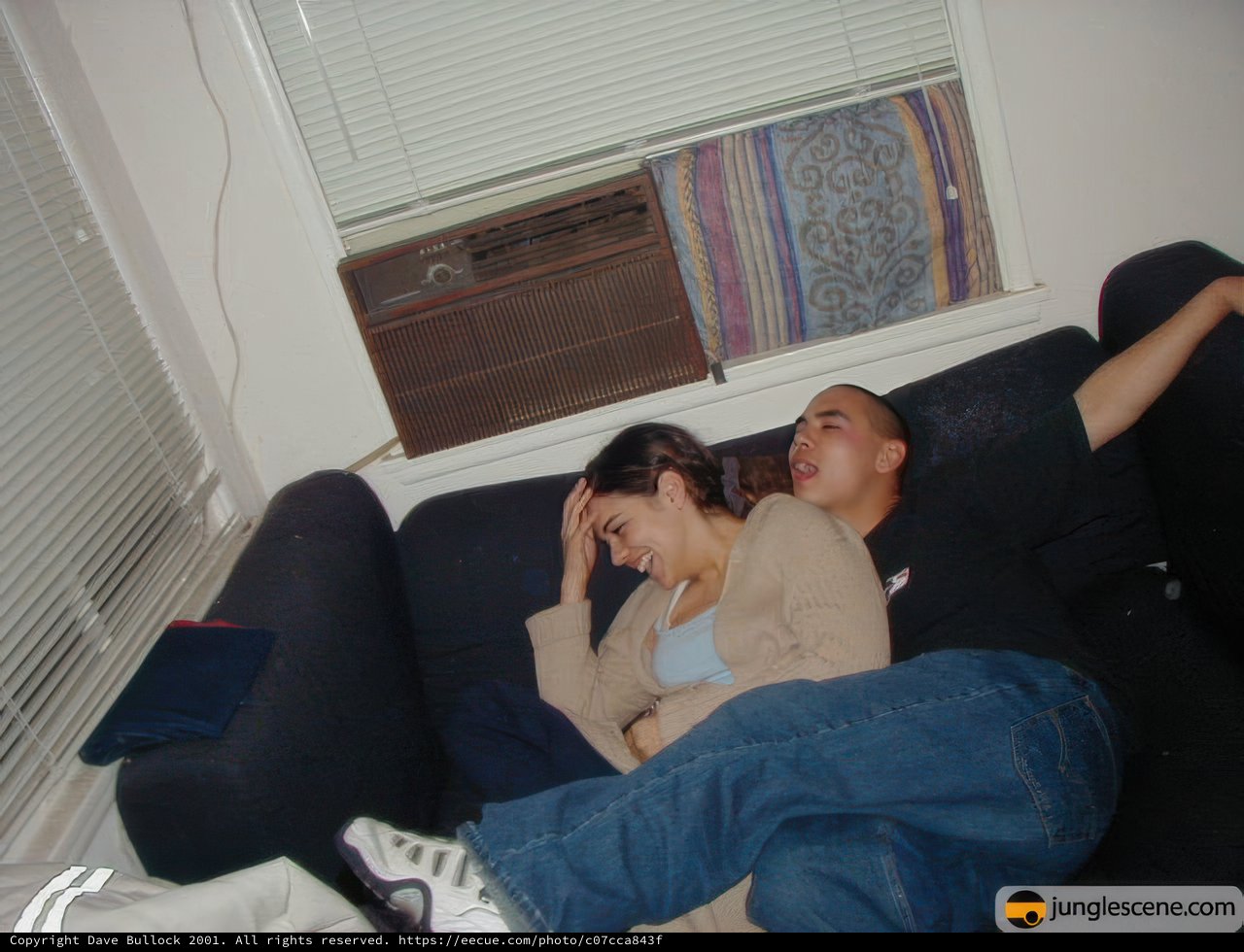 Sweet Dreams on the Sofa