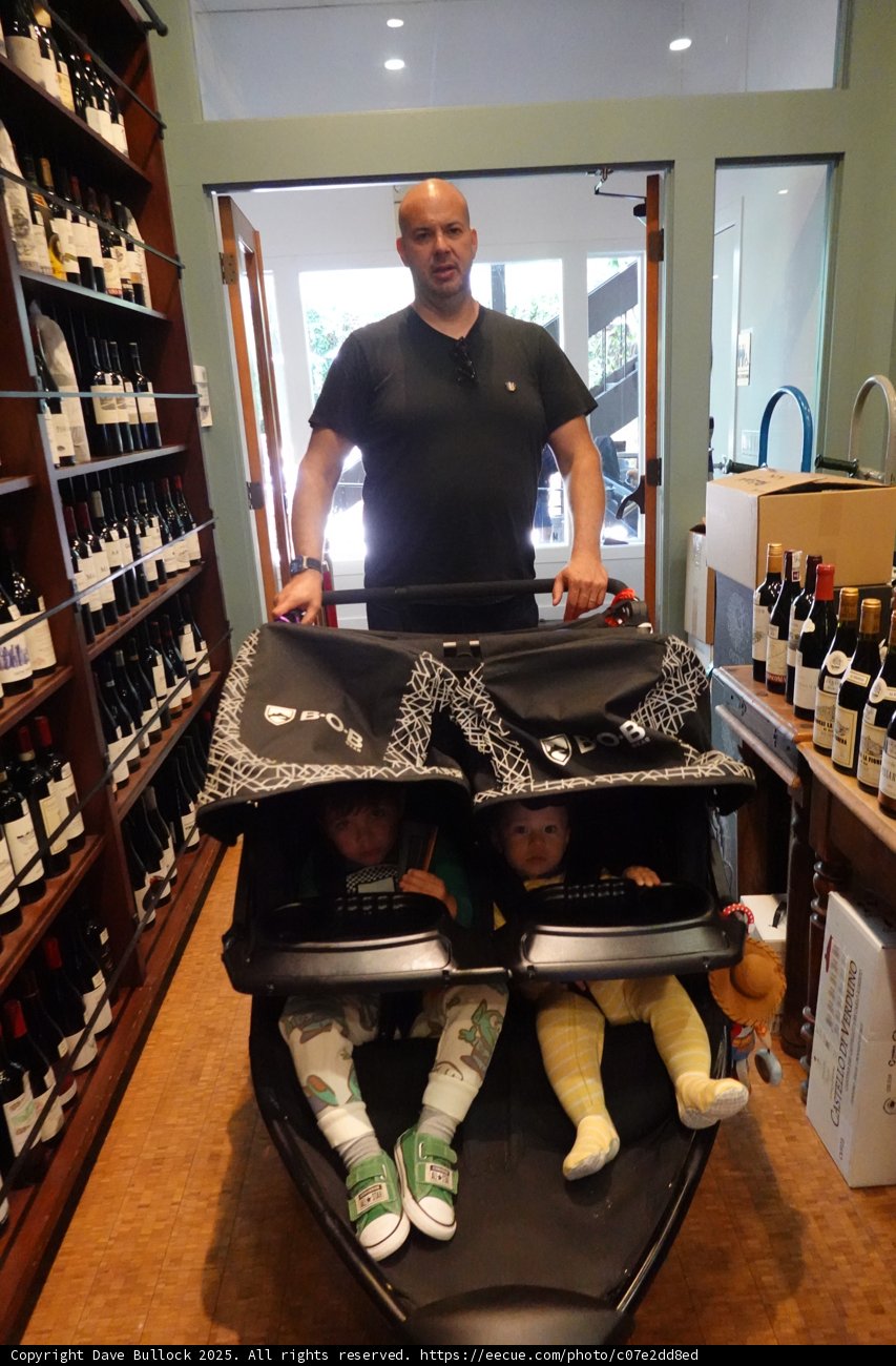 Stroll Through the Cellar