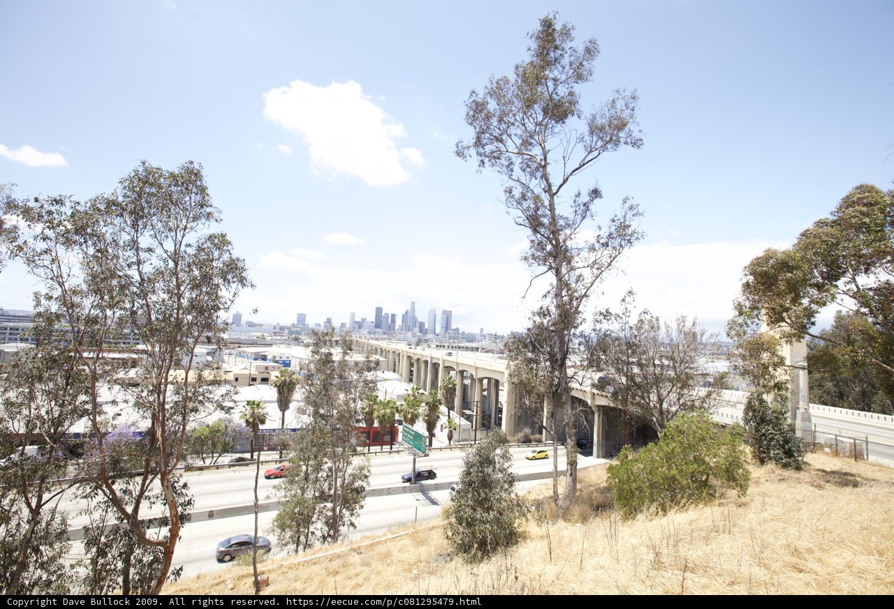 Overpass View of Urban Freeway and Trees