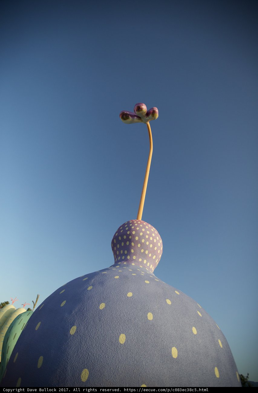 Blue Dome with a Floral Touch