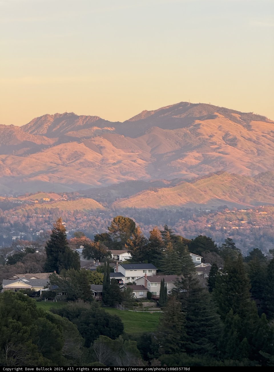 Tranquil Twilight in Walnut Creek