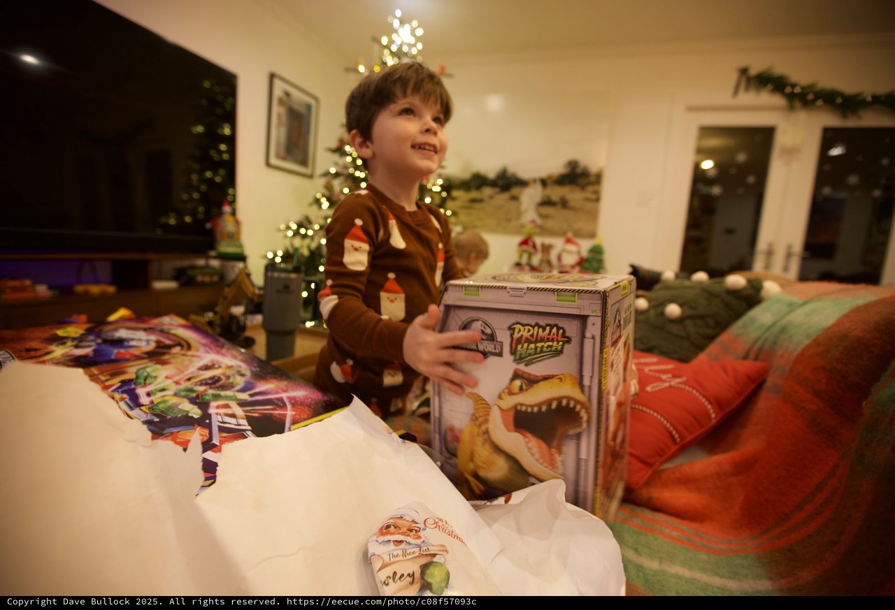 Christmas Morning Joy: Boy Opening Dinosaur Gift