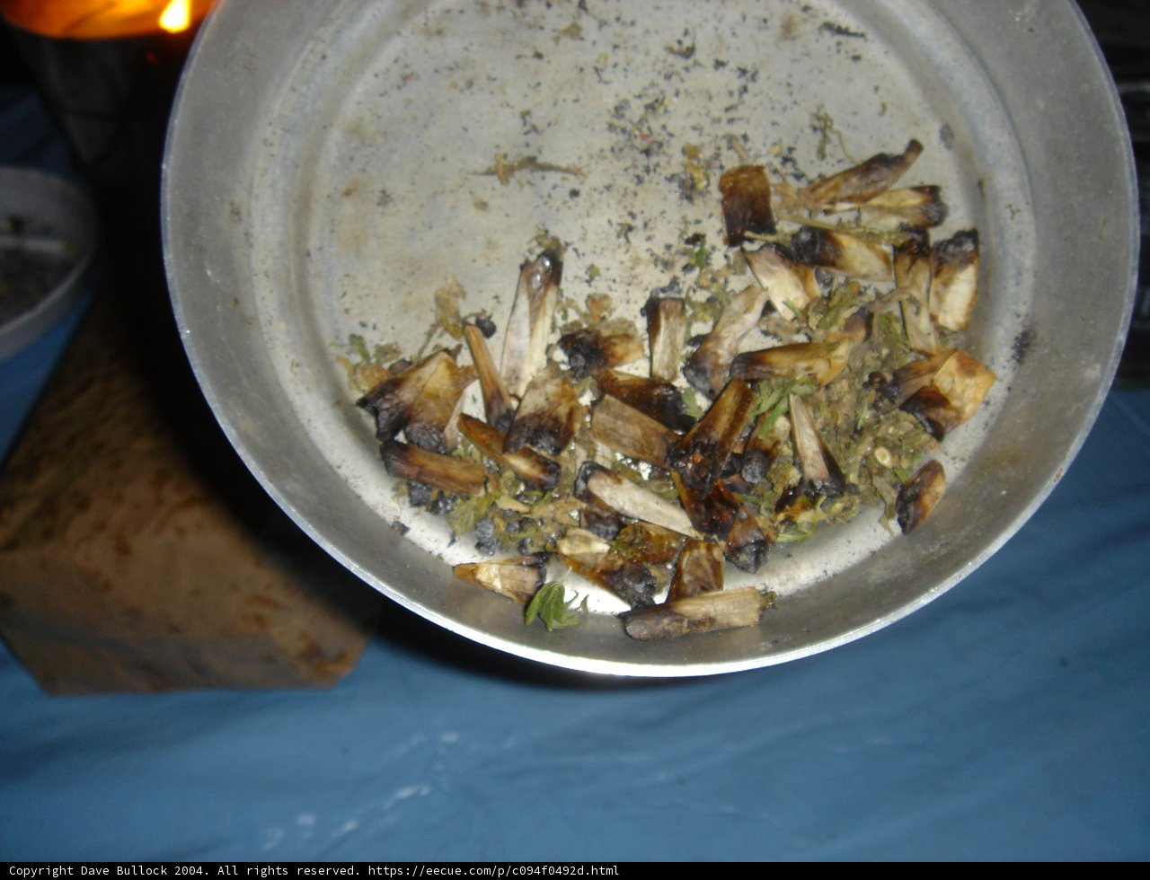 Dried Mushroom Medley