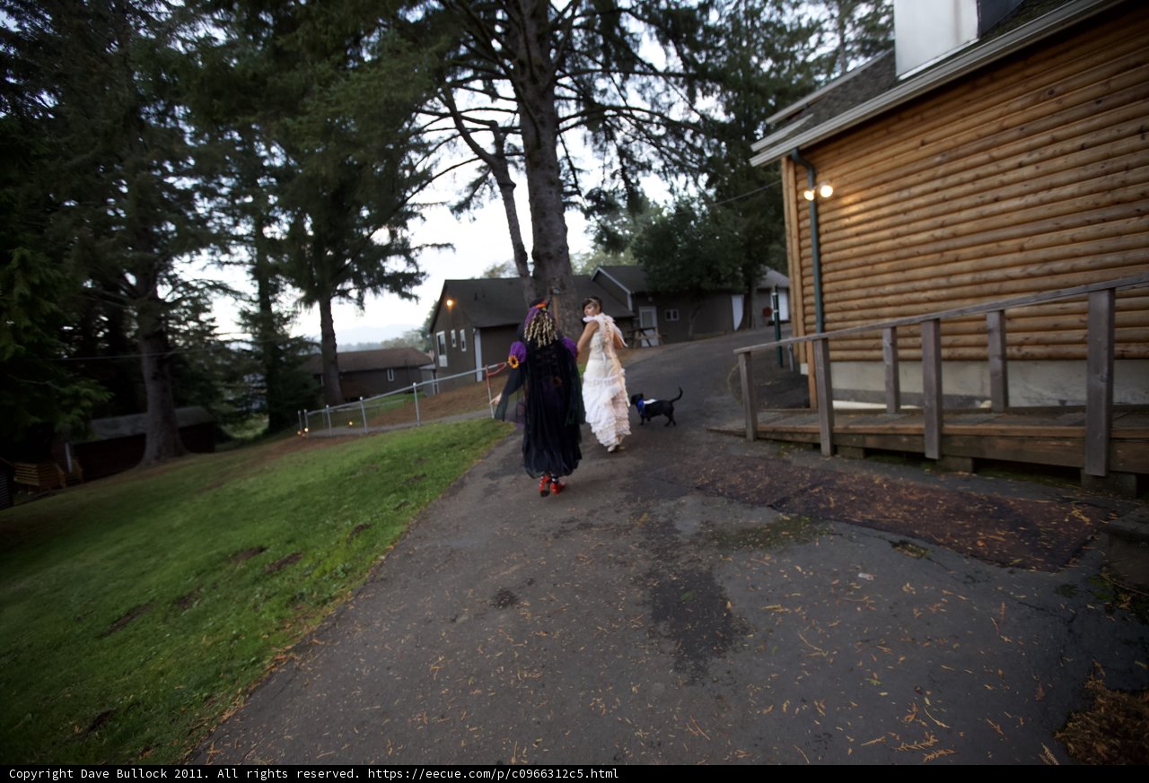 Wedding Day Stroll