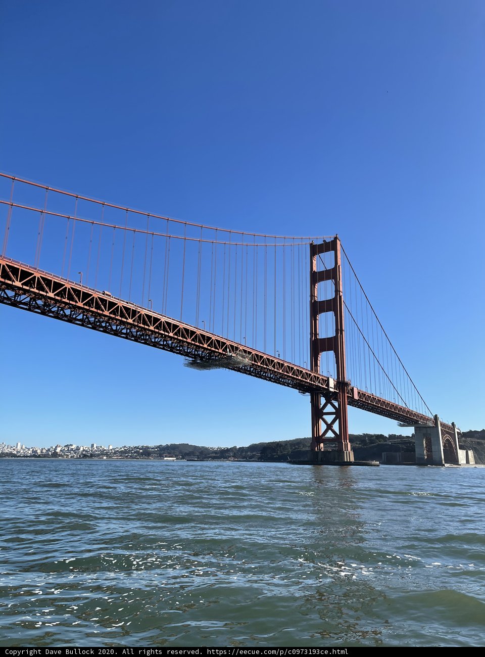 Golden Moments on the Golden Gate