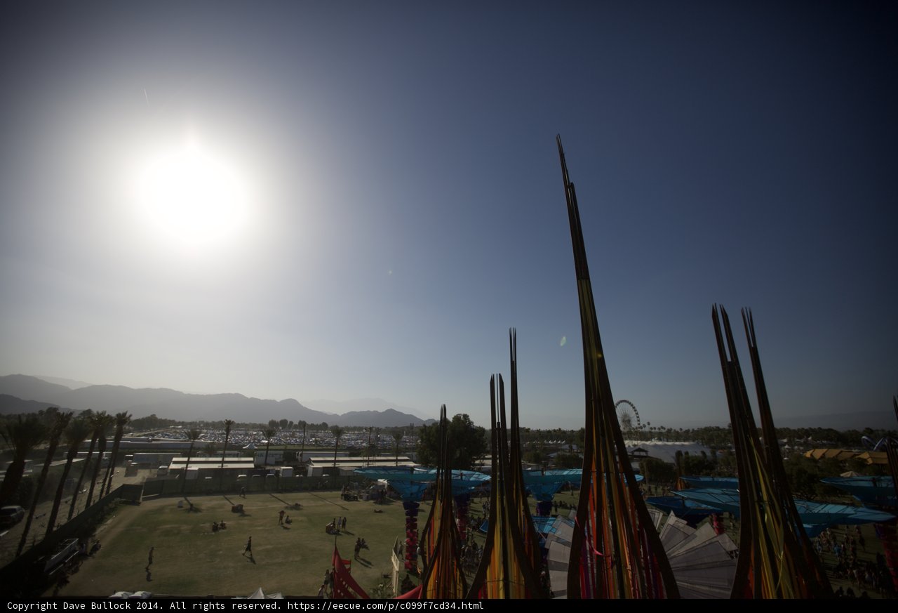 Sunlit Field of Flags