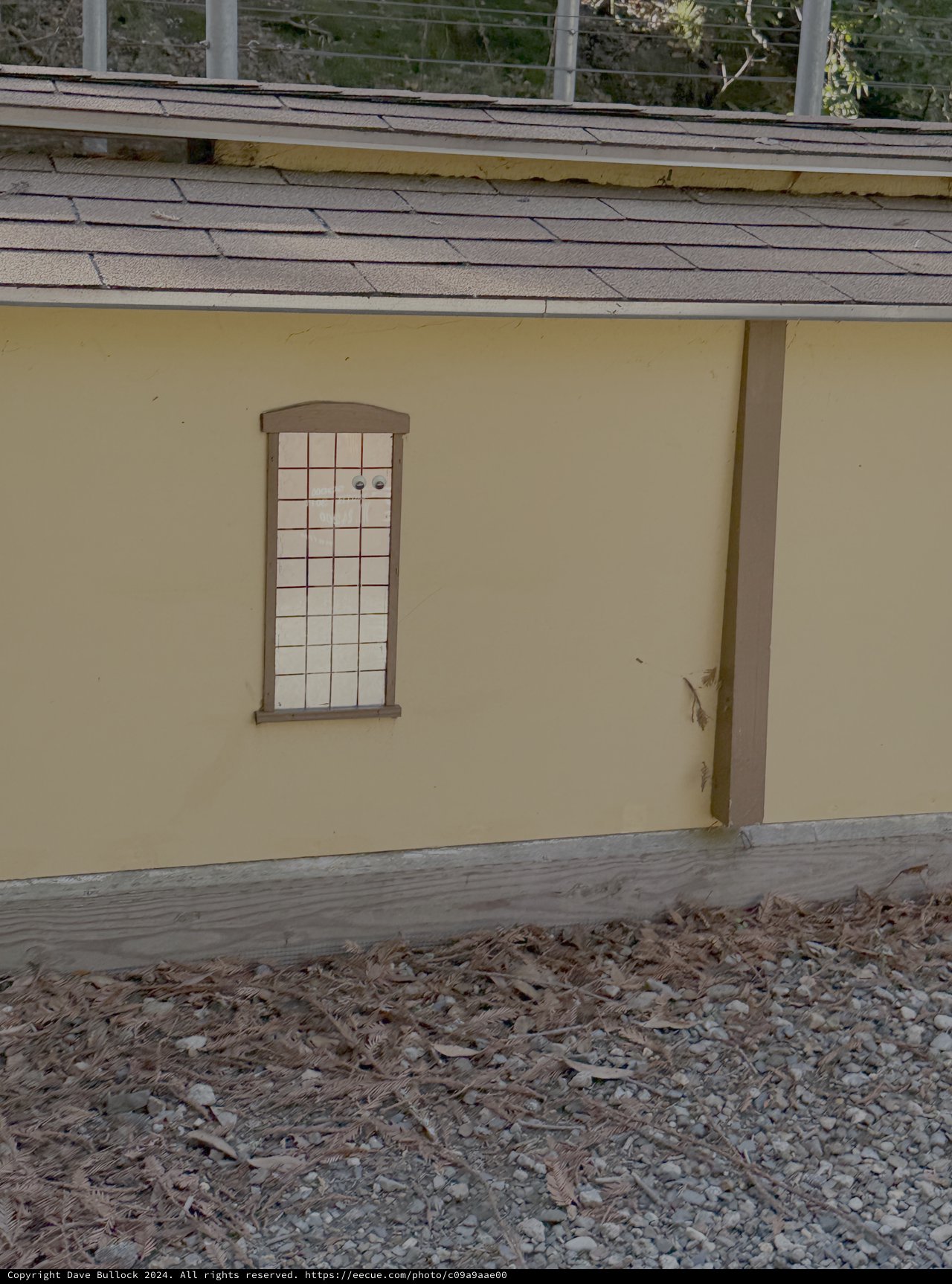 Basement Foundation with Barred Window and Door
