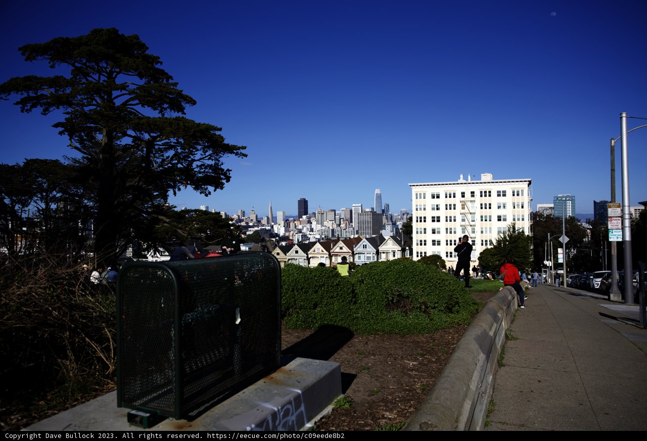 Stroll Through Alamo Square