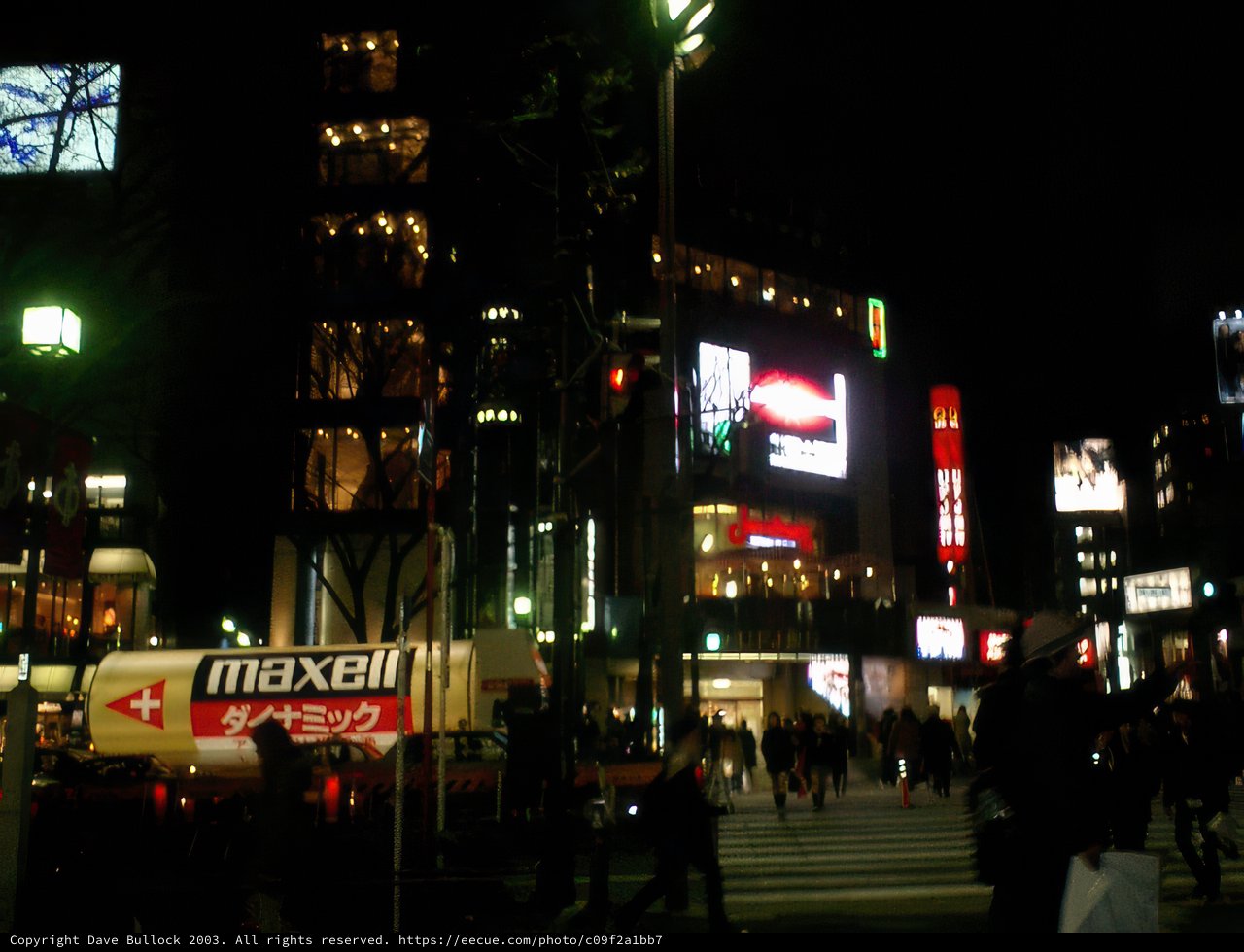 Night Life in the Urban Metropolis