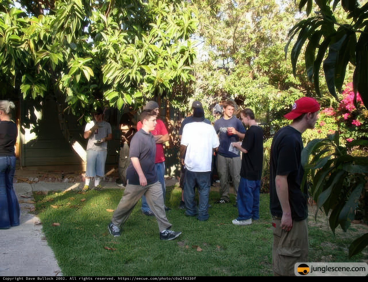 Backyard Gathering