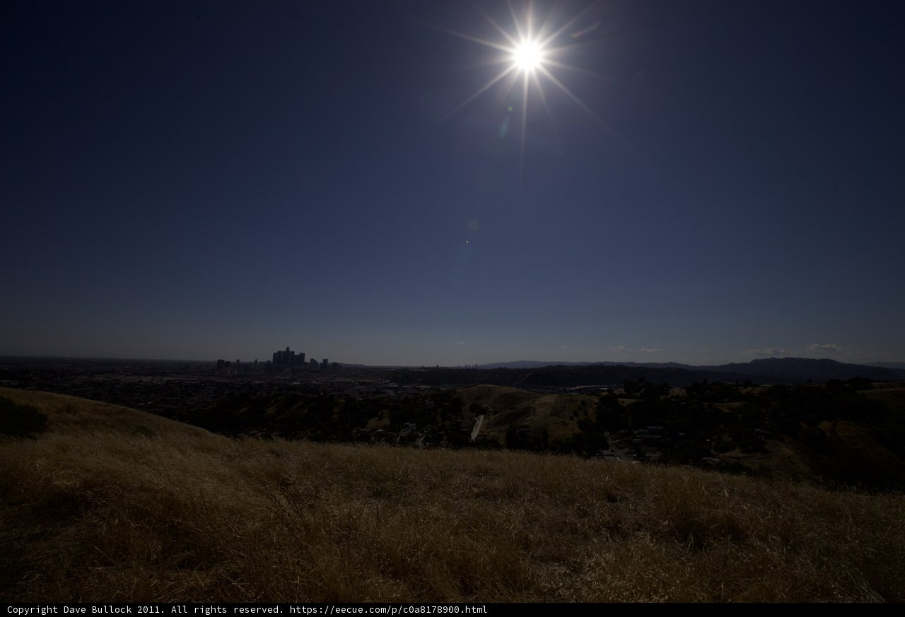 City Skyline Basking in Sunlight