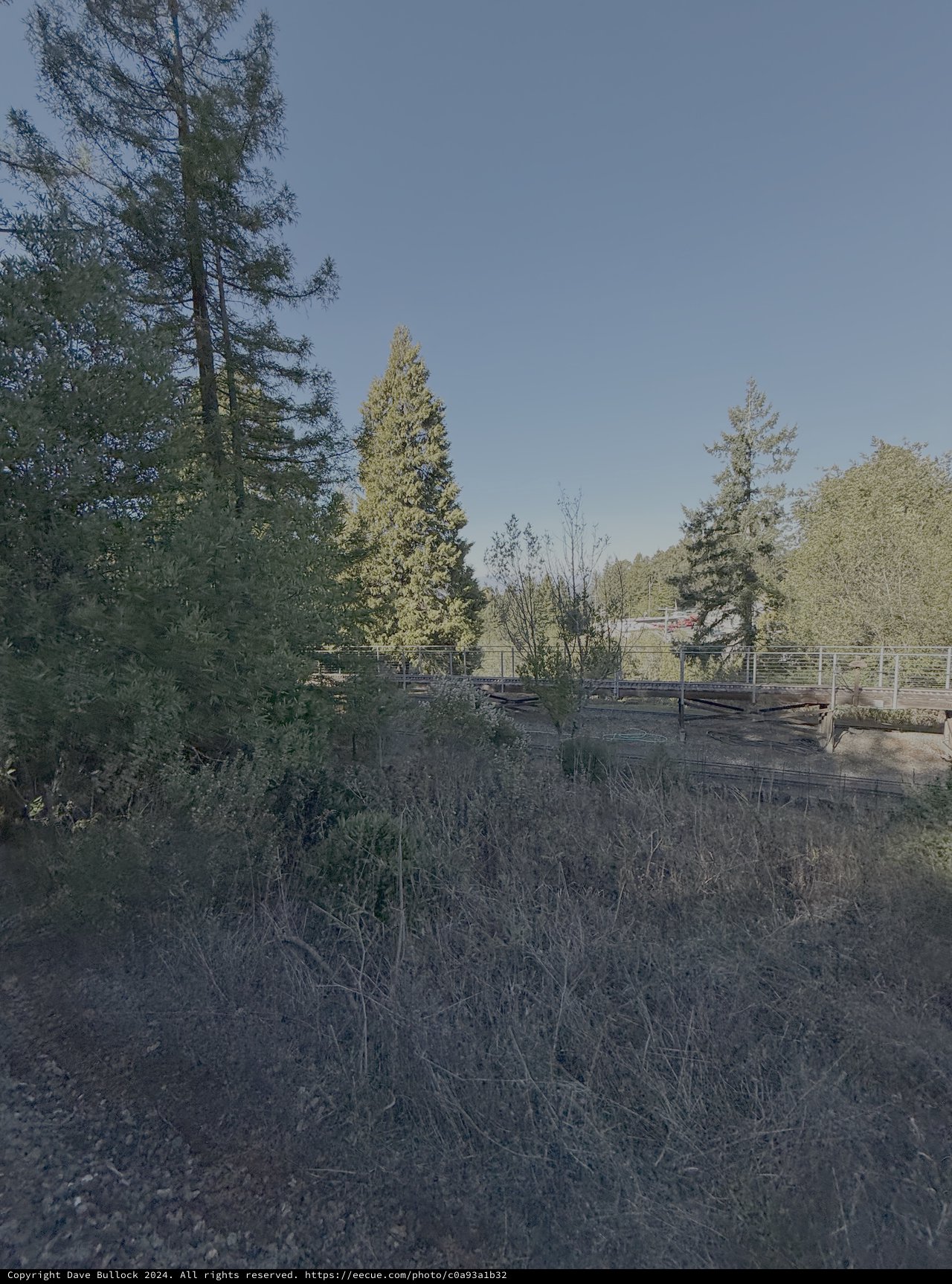 Wooden Boardwalk Through Wetland Nature Area