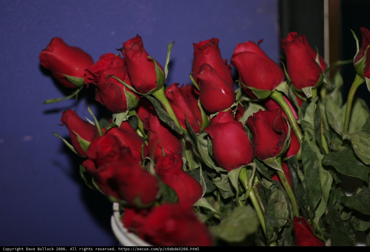 15 Red Roses Flower Arrangement
