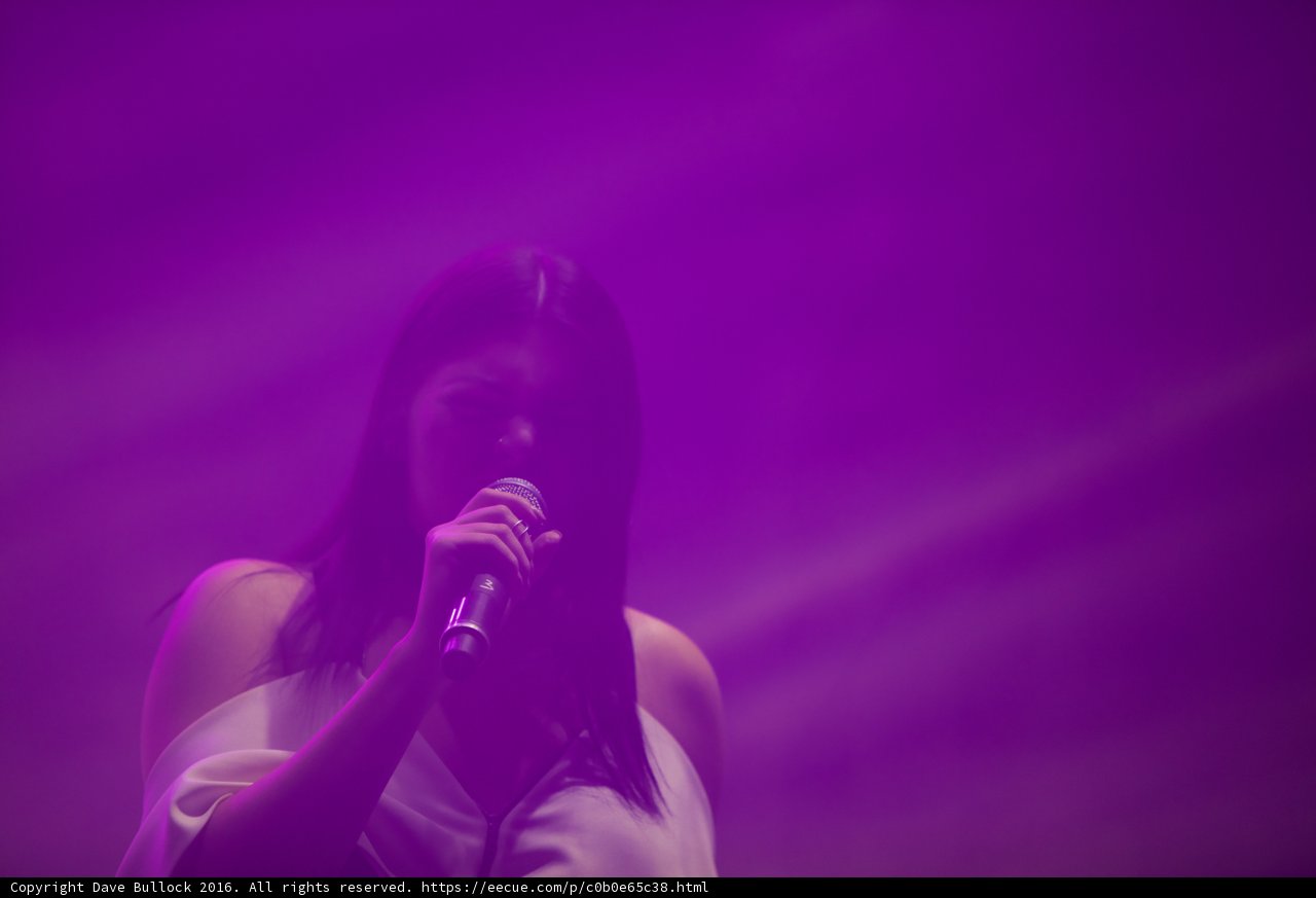 Purple Solo