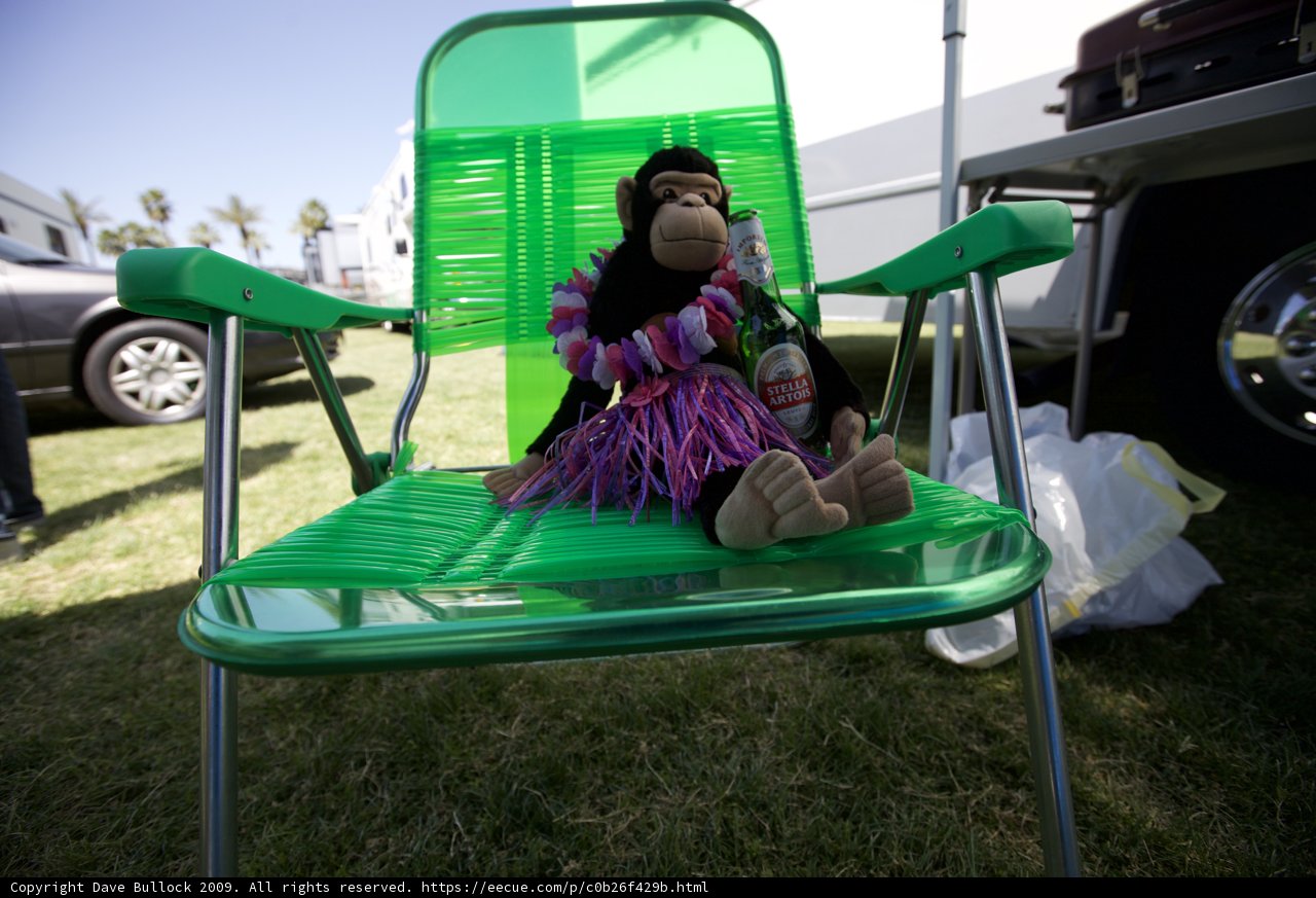 Monkey Business in Coachella