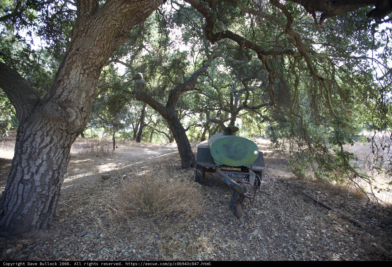Green and Black Cart on a Dirt Road