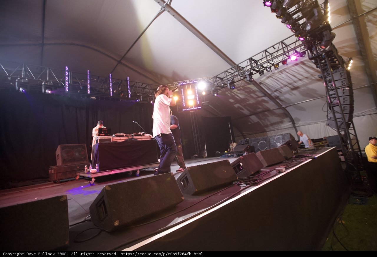 Spotlight on Musician